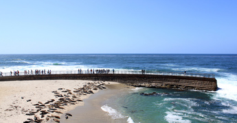 5 Reasons You Should Move to San Diego