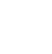 Sprinkler Icon